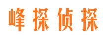 宾阳市场调查